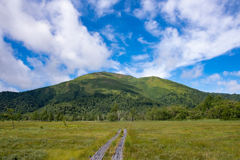 尾瀬ケ原2019_夏(8月)_11_至仏山