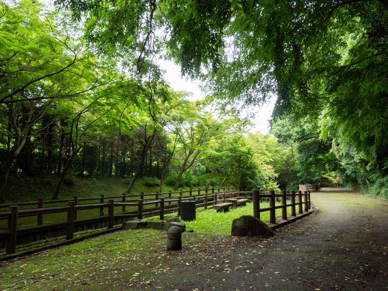 大町公園自然観察園_せせらぎの里付近_2