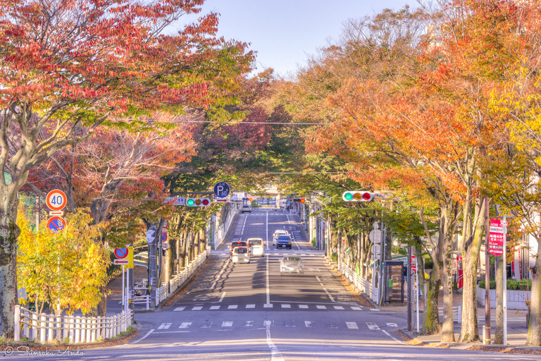 JuJuきたならの紅葉2017_4