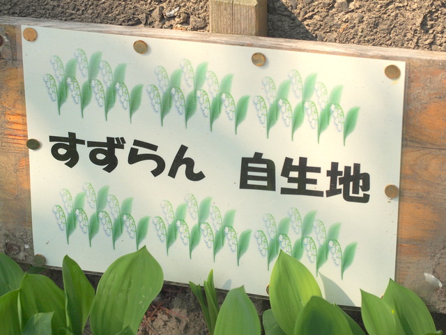 看板