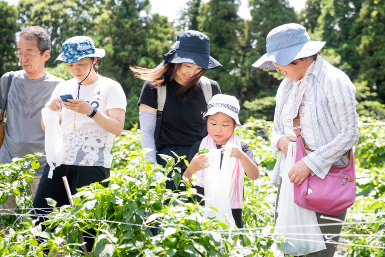 山田農場_夏野菜の会2018_25