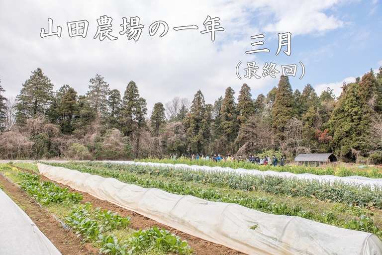 山田農場の一年・3月‐1(タイトル)
