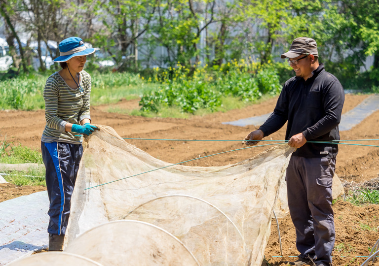 山田農場の4月‐8