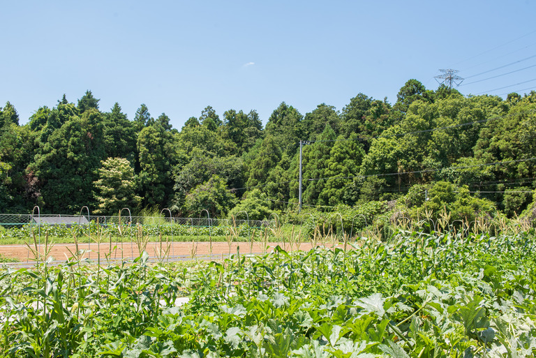 山田農場