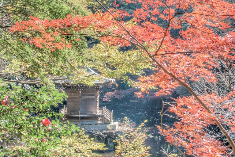 御滝不動尊の紅葉-5