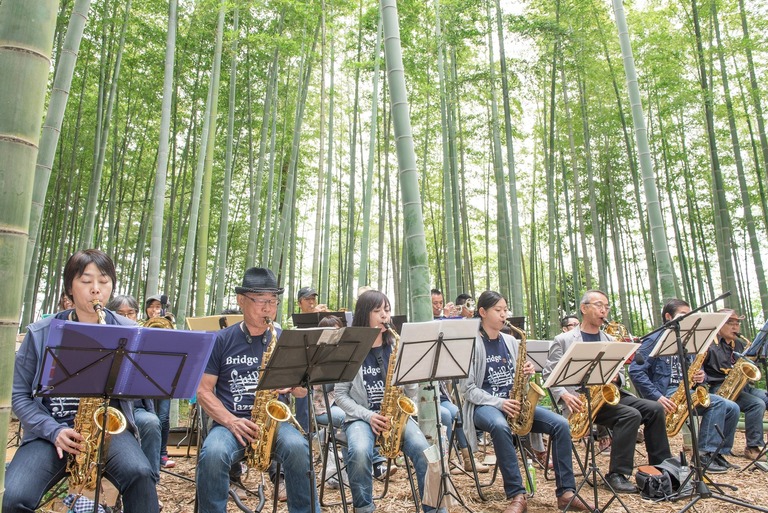 竹林JAZZ2016