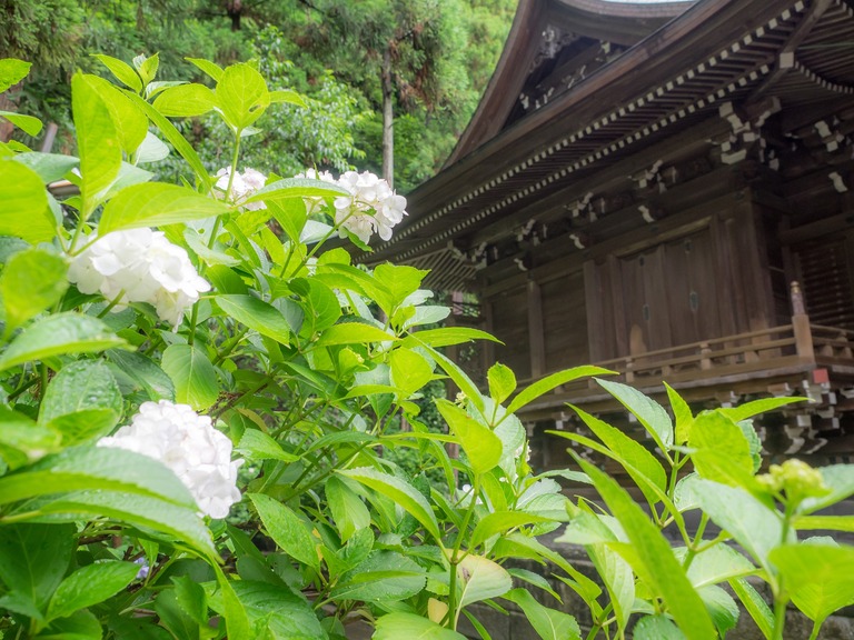 御霊神社-2