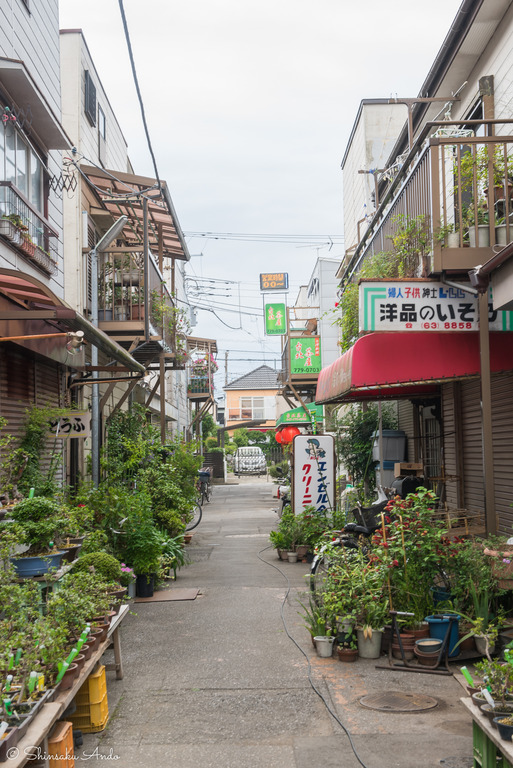 船橋市新高根・台湾茶屋-2
