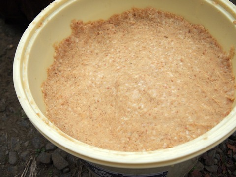 PB061351