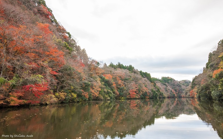 君津市亀山湖の紅葉クルーズ20161211-5