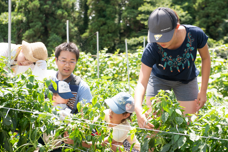 山田農場_夏野菜の会2018_21