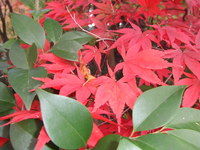 2010.10 032.JPG
