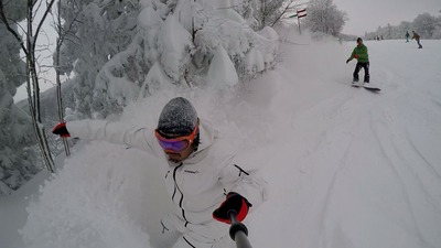 B40C6300154E5292C4E61C384A73194B