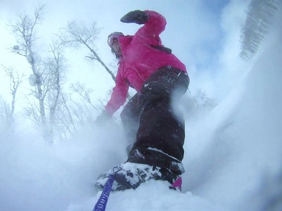 tree onboard camera 0475