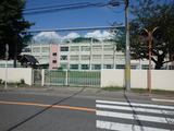 P8230353
