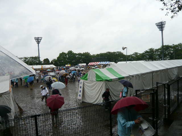 雨の中 第２８回鹿沼さつきマラソン 完走 あんどりゅーがランニングした足跡