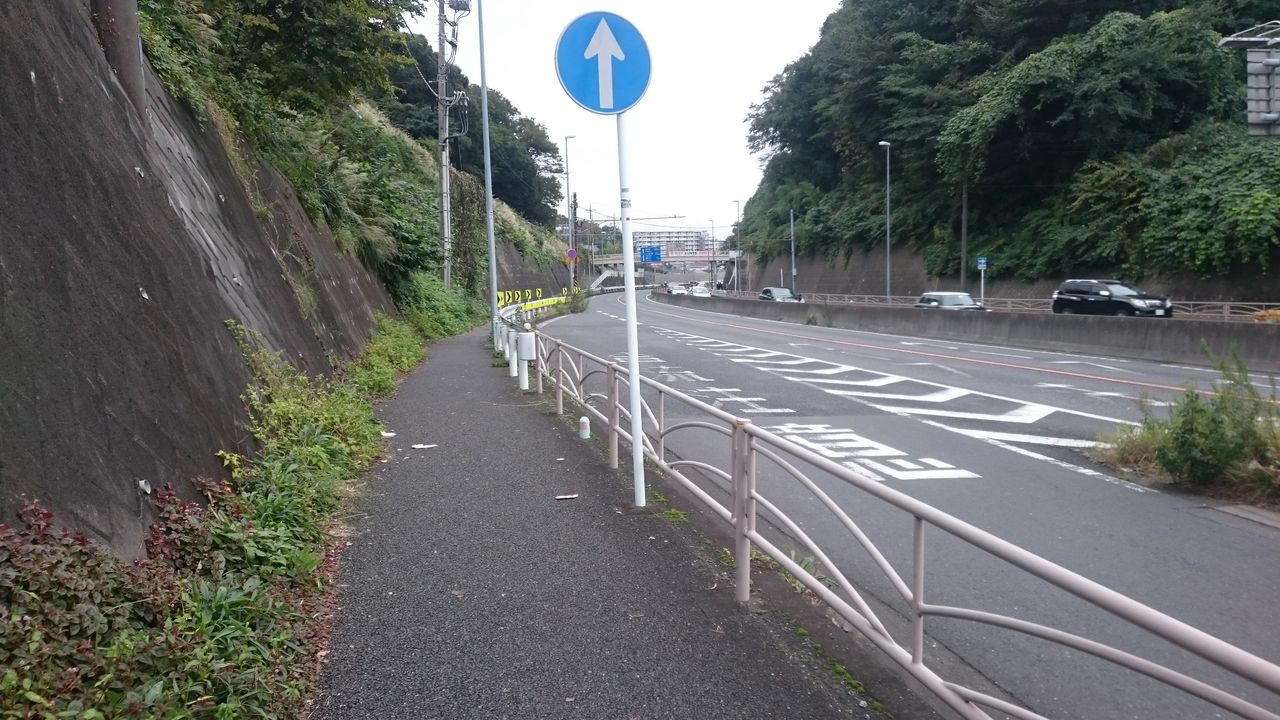 遊行寺の坂 あんどりゅーがランニングした足跡 遊行寺の坂 あんどりゅーがランニングした足跡