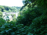 P1020918