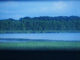P1030239