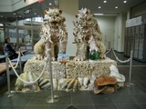 P1220111