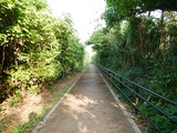P1210974