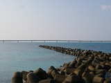 P1220026