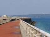 P1220008