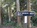 P8230415