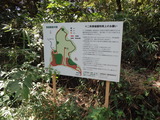 P8230383