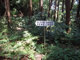 P8230388
