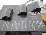 P6251566