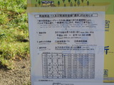 P6160089