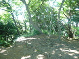 P1020901
