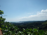 P8230419