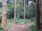 P8230389