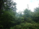 P5280089