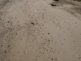 P1220033