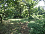 P8230382