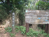 P5280112