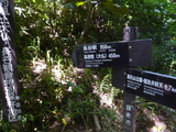 P1020916