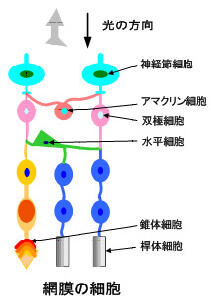 アンディマンのテクノロジー 援技力 光と色の基礎知識 No 18