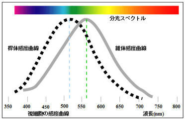 ICS_光_知覚_人間_放射強度_心理実験_2c_new