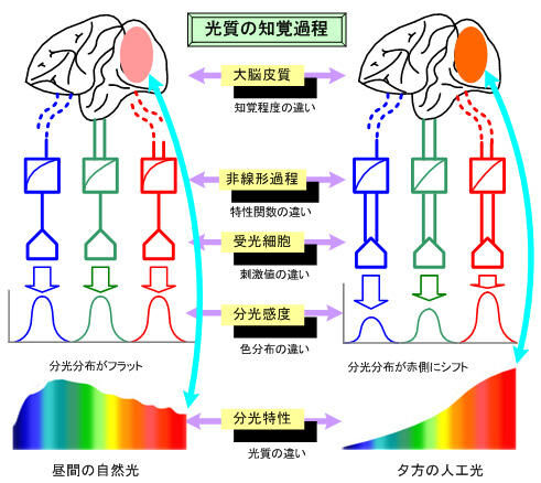 Fig1_2_3_19