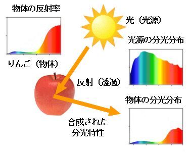 ICS_光_ｽﾍﾟｸﾄﾙ_物体色_3_new