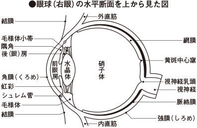 ICS_光_知覚_人間_放射強度_心理実験_2a_new
