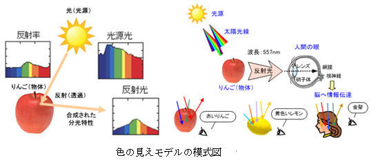 Fig1_2_6_4