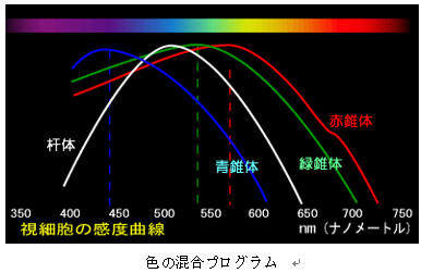 ICS_光_知覚_人間_放射強度_心理実験_2b_new