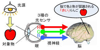 Fig1_2_6_1