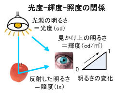 ICS_光_光度_輝度_照度_関係_1_new