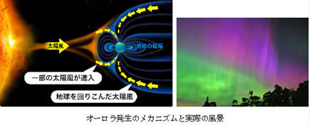 Fig1_2_3_6
